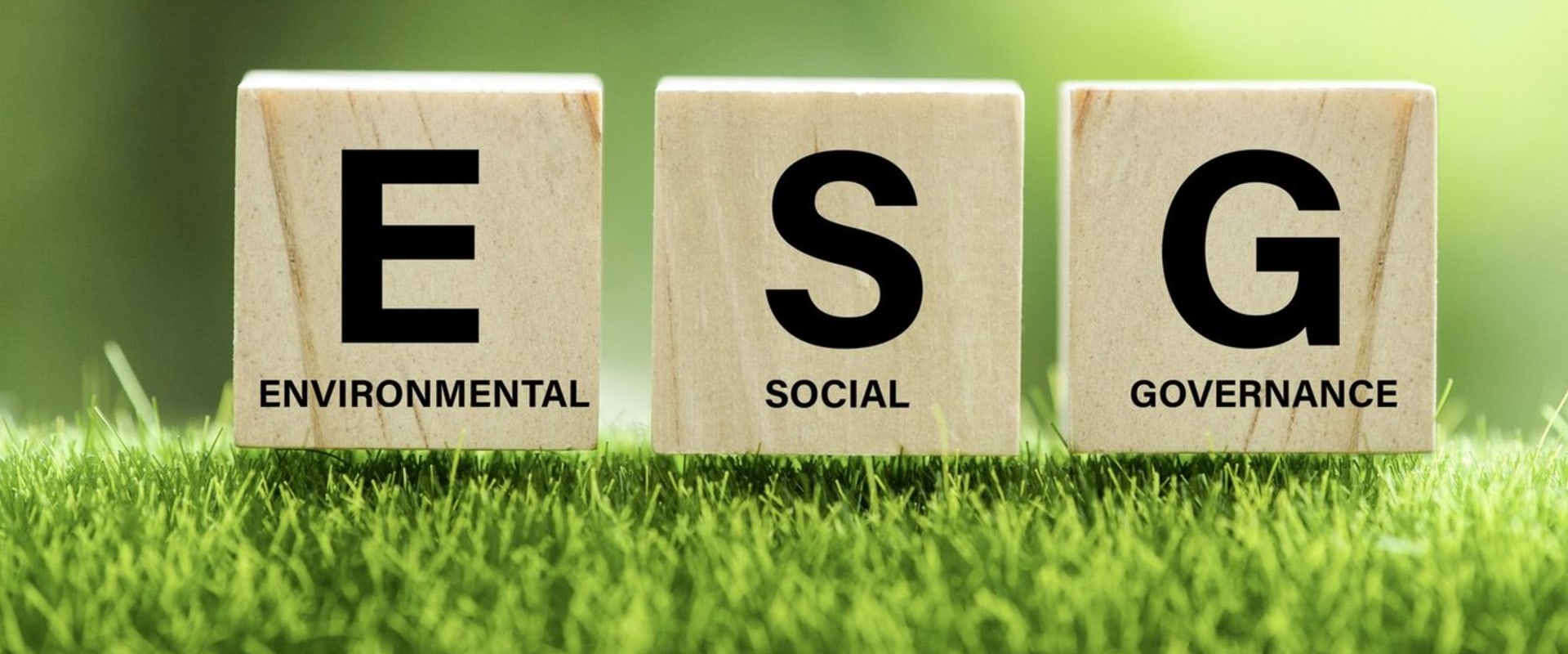 How Top ESG Marketing Agencies Are Setting New Standards In Marketing